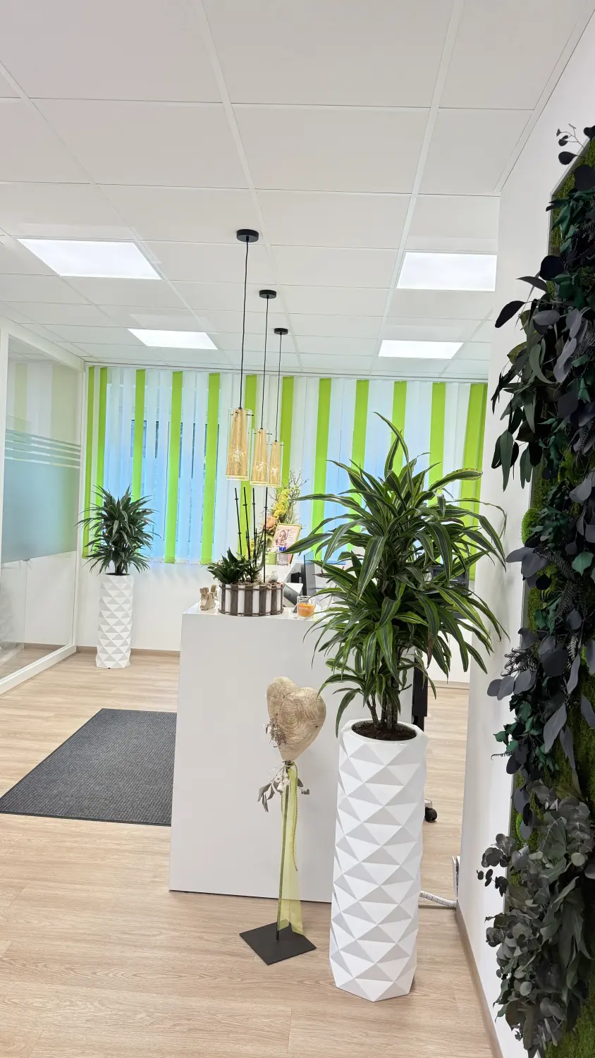 Steiner Ästhetik - Praxis